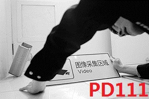 視頻PD111